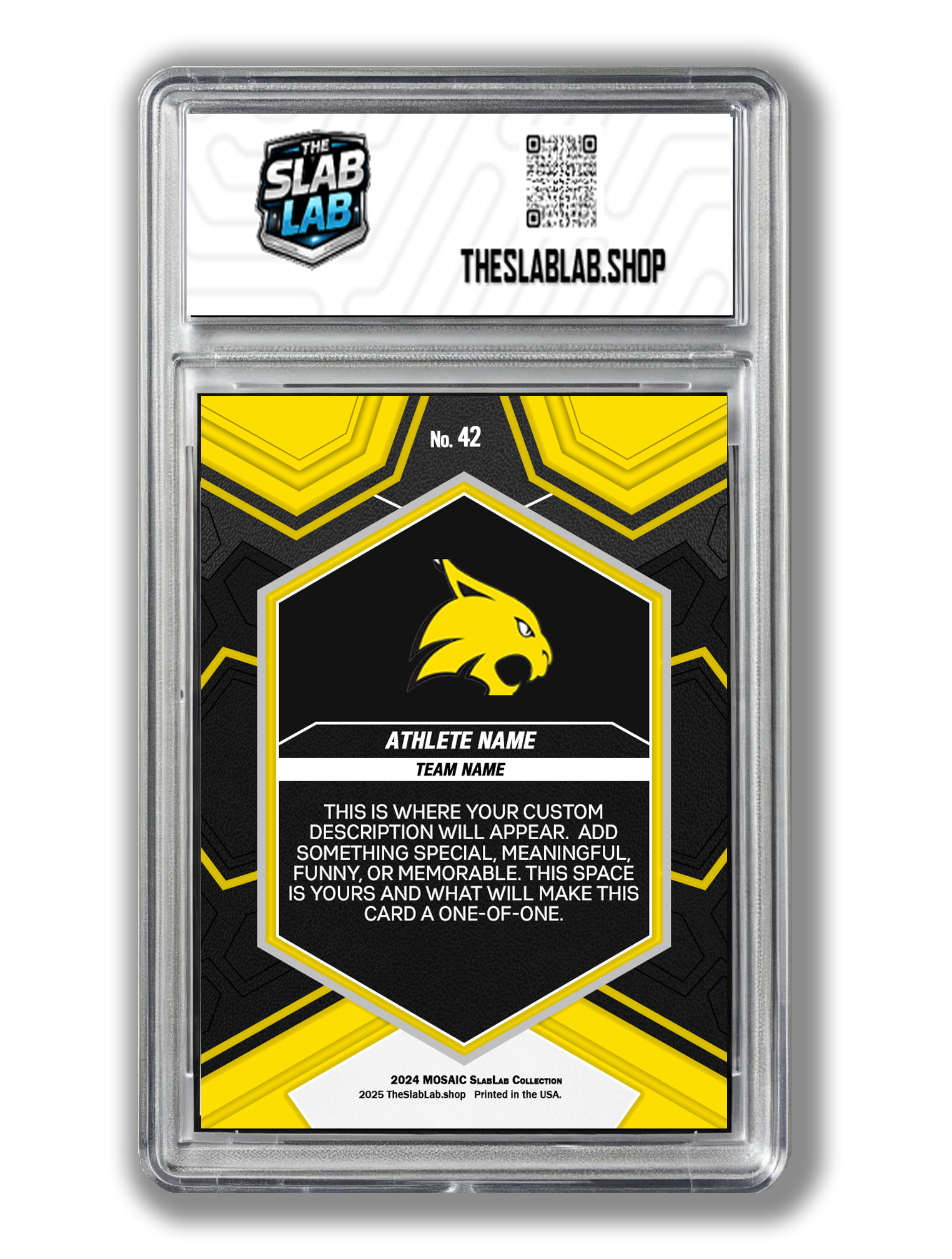 2024 Micro Mosaic Series